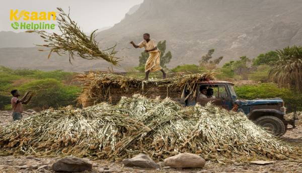 सरकार ने नए कृषि कानूनों से लाभान्वित होने वाले किसानों की सफलता की कहानियों को रेखांकित करते हुए ई-बुकलेट लॉन्च की